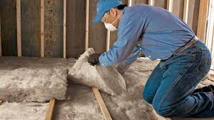 Best Attic Insulation Installation  in Hemby Bridge, NC